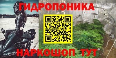 ПСИЛОЦИБИНОВЫЕ ГРИБЫ Будённовск