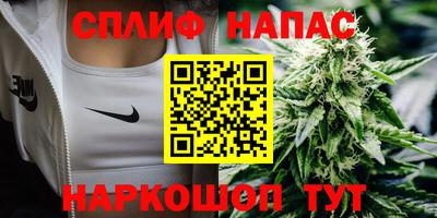 амф Бийск