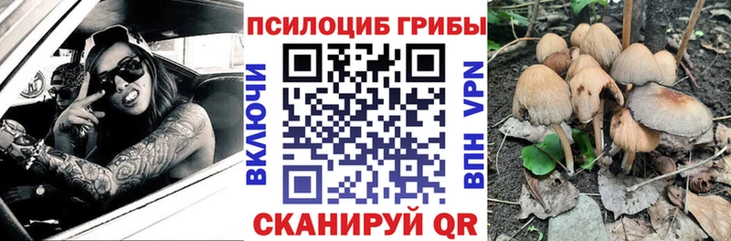 даркнет сайт Вязьма Галлюциногенные грибы MAGIC MUSHROOMS