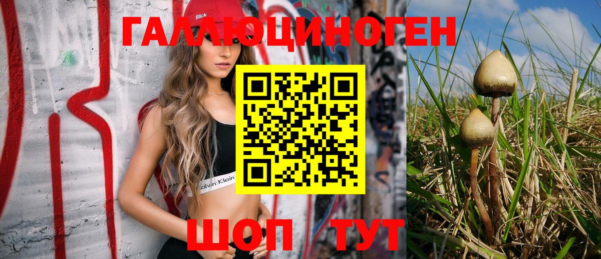 Галлюциногенные грибы мухоморы Вязьма