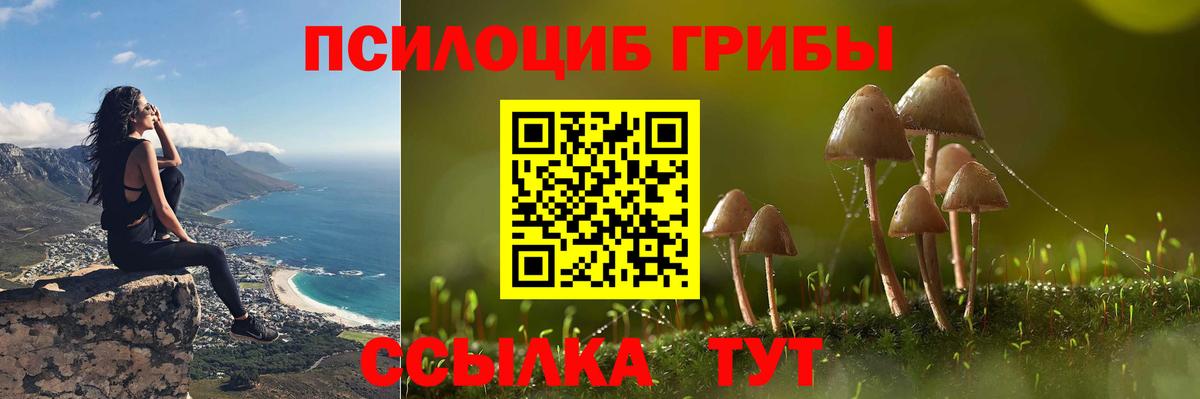 Псилоцибиновые грибы прущие грибы  Вход с VPN  Вязьма 